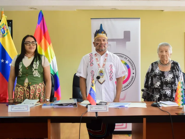 Parlamento Indígena y Afrodescendiente de América aprueba plan de trabajo para el segundo semestre de 2026